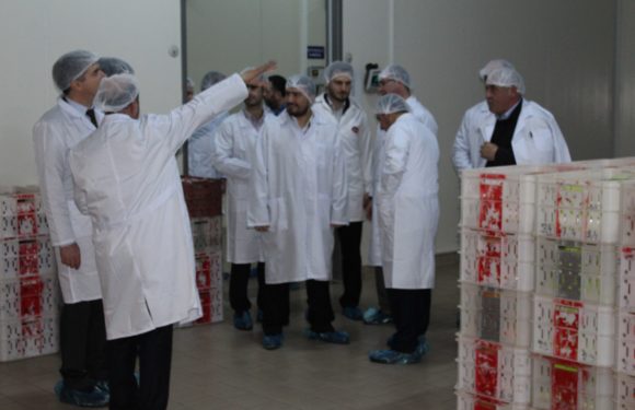 GIMDES WAS HELD TRAINING AND AUDITING IN AZERBAIJAN.