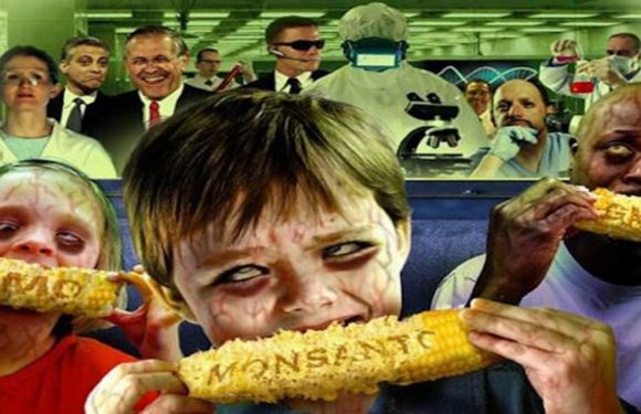 Can GMO products be Halal certified?