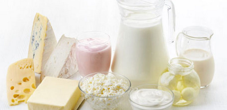 CRITICAL CONTROL POINTS IN MILK AND DAIRY PRODUCTS IN GİMDES HALAL AND TAYYIB CERTIFICATION SYSTEM