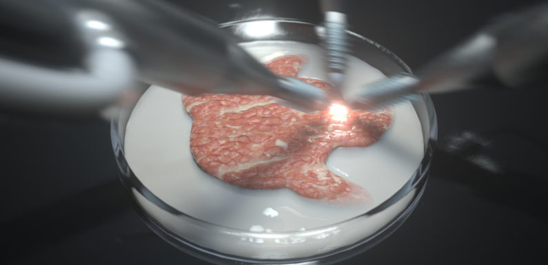 A CRITICAL OVERVIEW OF THE CONCEPT OF MEAT PRODUCED IN LABORATORIES (Artificial Meat!)