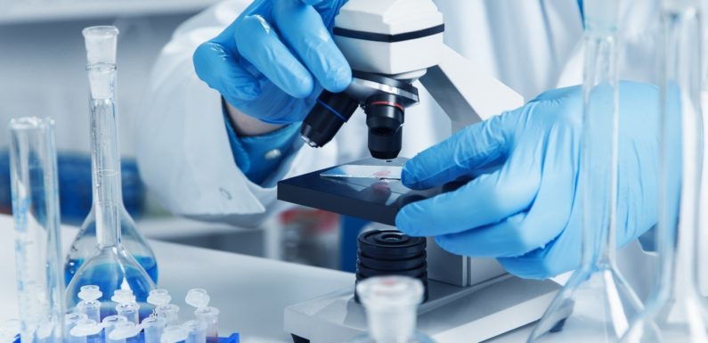 GIMDES LABORATORY ANALYSIS REPORTS FOR DECEMBER-MAY 2021-2022