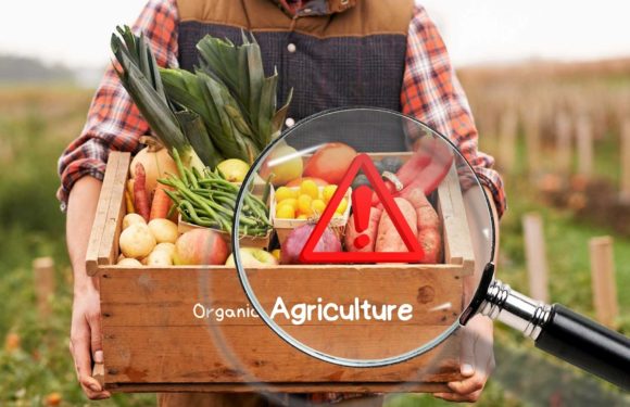 ORGANIC AGRICULTURE IS THE MOST INNOCENT PROJECT OF THE WESTERN WORLD