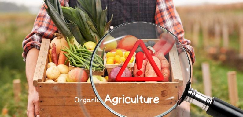 ORGANIC AGRICULTURE IS THE MOST INNOCENT PROJECT OF THE WESTERN WORLD