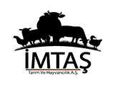 imtas-23